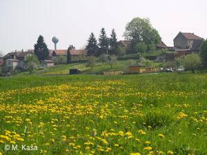 Petřvald