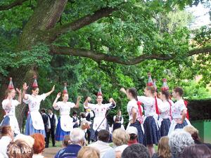 Mezinárodní folklorní festival Setkání s folklorem