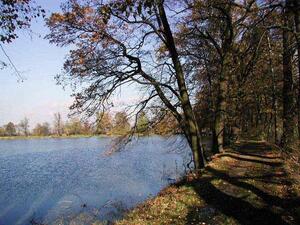 Zámecký park