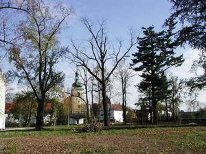 Zámecký park
