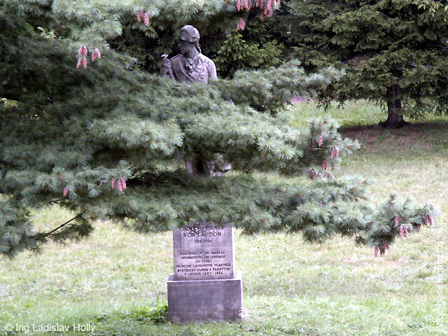 Zámecký park zámku, Bystřice pod Hostýnem